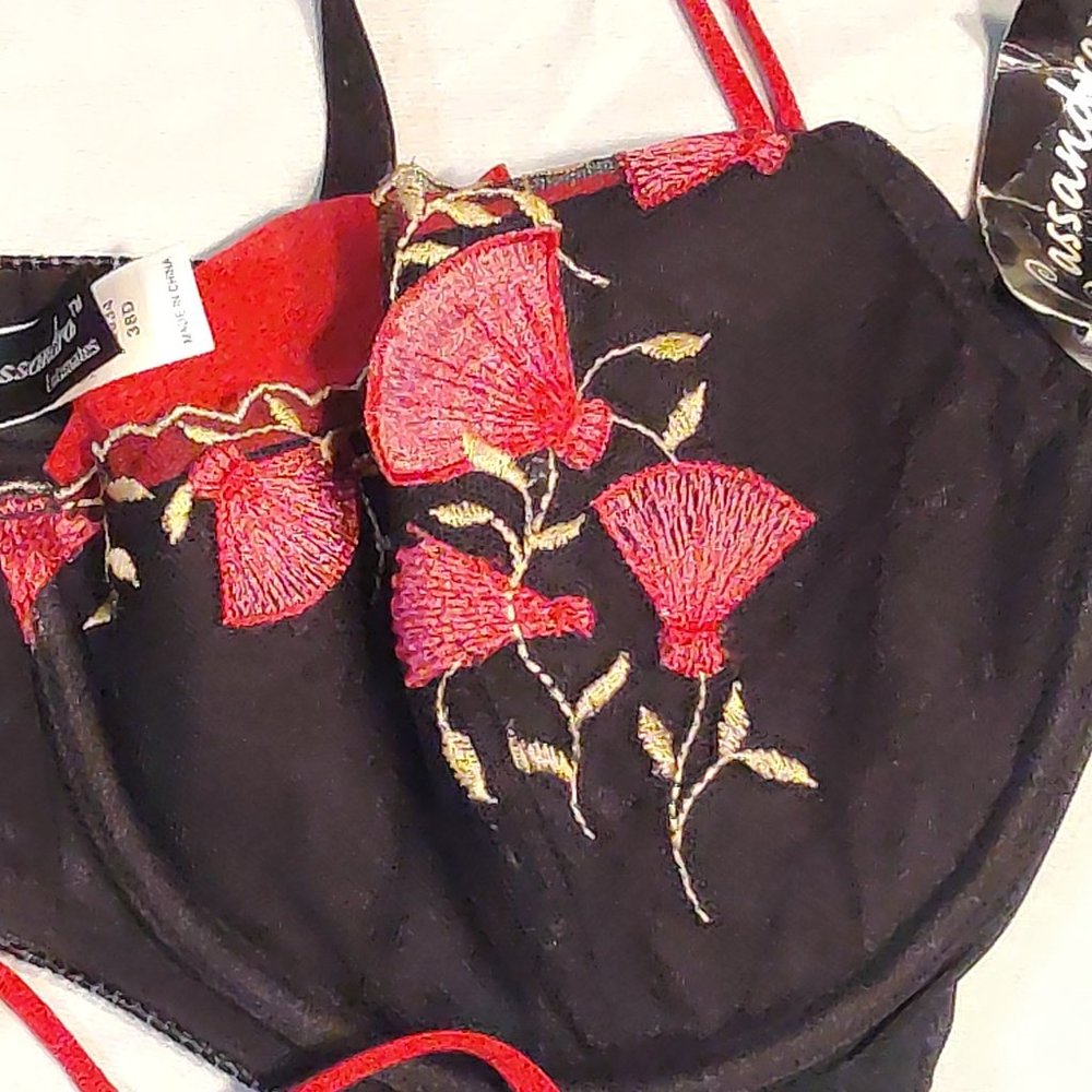 Cassandra Intimate Embroidered Bra 38D - Picture 3 of 9